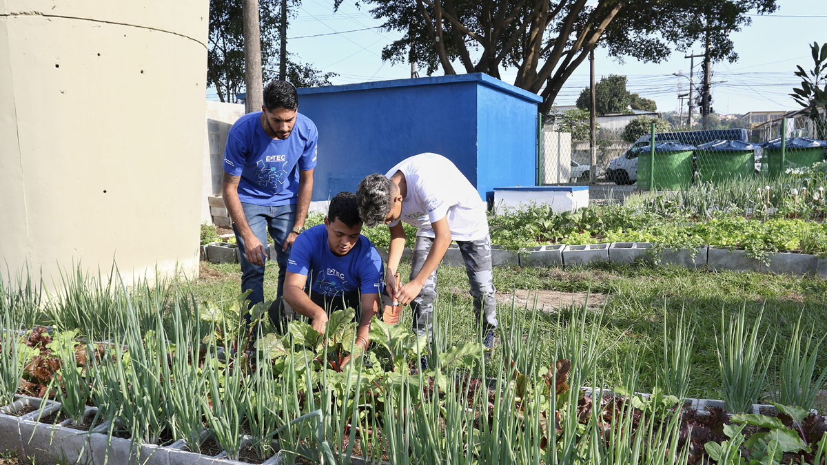 No RJ, rede estadual implementa hortas orgânicas nas escolas