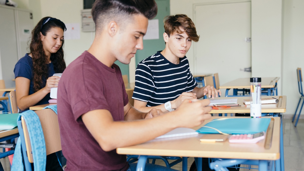 Consulta Escolas